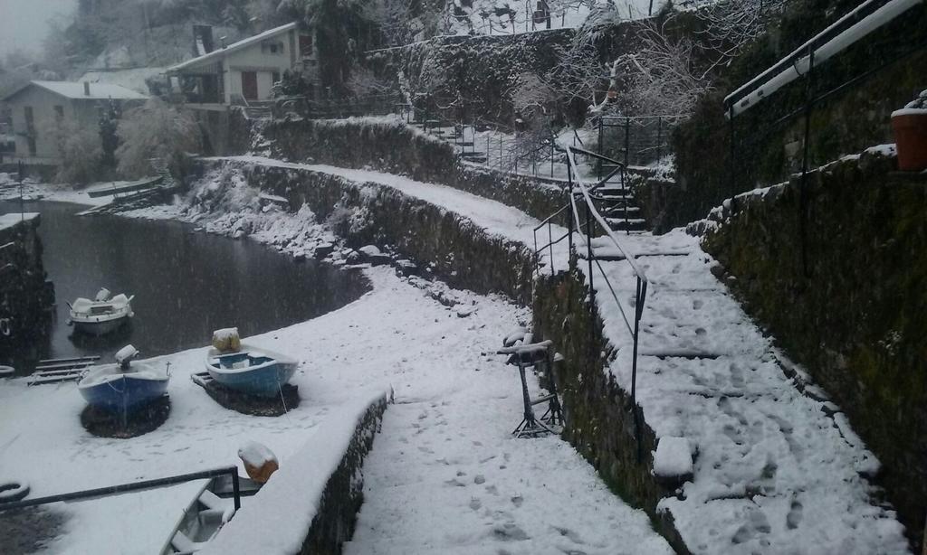 Tra Lago E Montagna Baita La Morena Nesso Kültér fotó