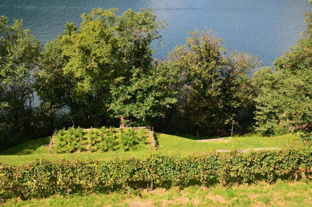 Tra Lago E Montagna Baita La Morena Nesso Kültér fotó