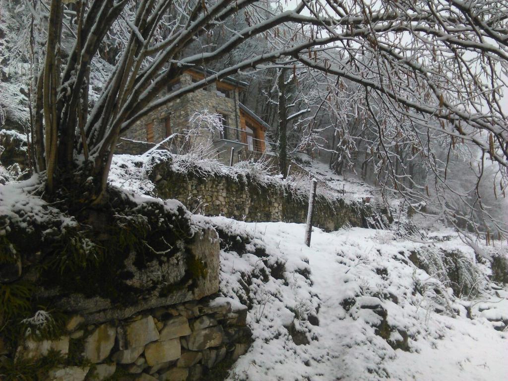 Tra Lago E Montagna Baita La Morena Nesso Kültér fotó