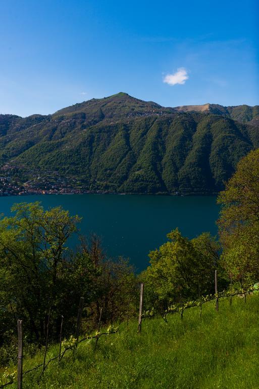 Tra Lago E Montagna Baita La Morena Nesso Kültér fotó
