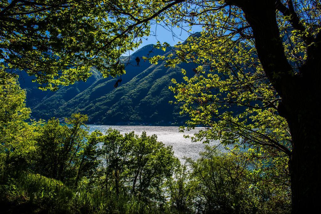 Tra Lago E Montagna Baita La Morena Nesso Kültér fotó
