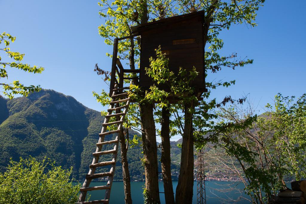 Tra Lago E Montagna Baita La Morena Nesso Kültér fotó
