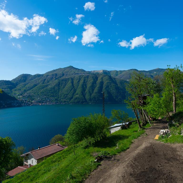 Tra Lago E Montagna Baita La Morena Nesso Kültér fotó